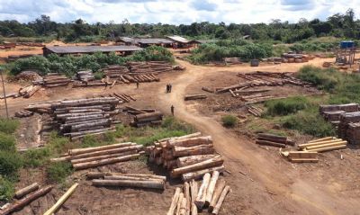 Mato Grosso deflagra operao e intensifica aes contra crimes ambientais