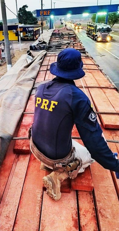 PRF identifica transporte irregular de madeira no interior de MT