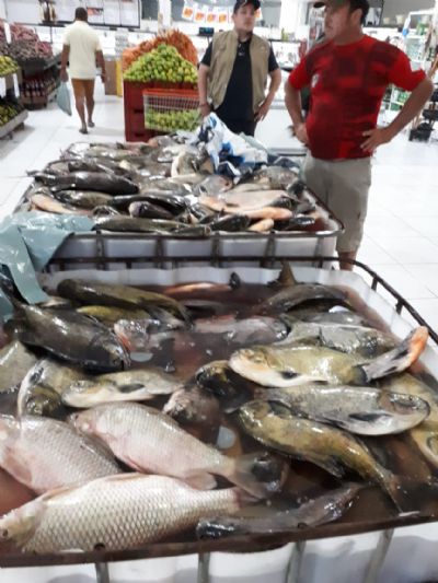 Quase 2 toneladas de pescado irregular so apreendidas em MT