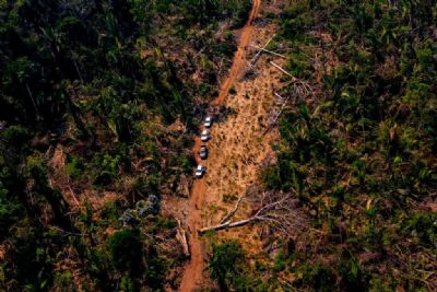 Fora tarefa em MT embarga quase 11 mil hectares por desmatamento ilegal