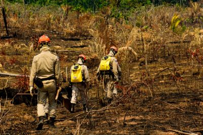 MPF pede que Ibama identifique origem dos incndios no Pantanal em MT