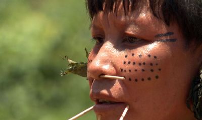 Fora-tarefa inutiliza 272 acampamentos de garimpo na Terra Yanomami