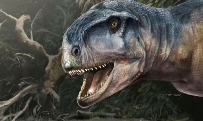 Nova espcie de dinossauro  descoberta na Argentina