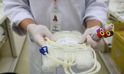 Nmero de doaes de medula ssea cai 30% devido  pandemia