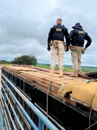 Homem  preso transportando madeira de forma ilegal e apresentar documento falso