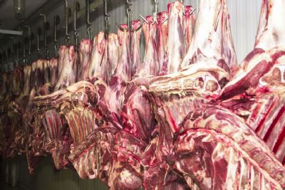Alta do preo das carnes puxa inflao em novembro no pas, diz IBGE