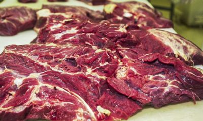 Brasil poder exportar carne bovina para o Mxico