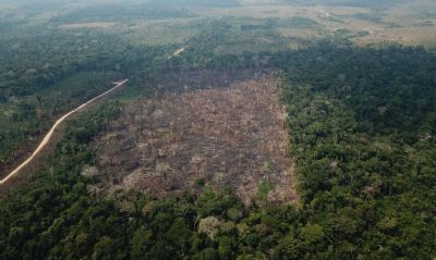 Efeitos da falta de chuva afetam capacidade de resposta da floresta