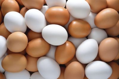 Produo de ovos de galinha sobe 8,6% e alcana recorde em 2018, diz IBGE
