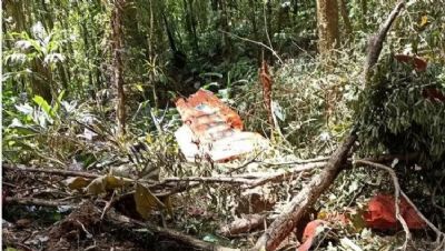 Avio da FAB  encontrado destrudo em Santa Catarina e com os dois tripulantes mortos