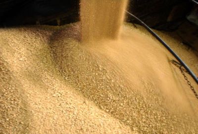 Mato Grosso registra aumento de 5,2% no volume de soja esmagada