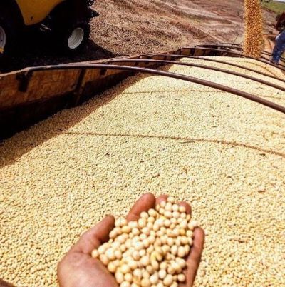Mato Grosso tem aumento de soja disponvel em 3,6%