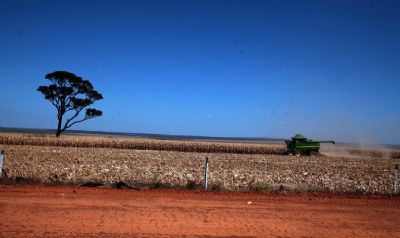 Propriedade rural elimina eroses e reduz impacto da seca com o uso de plantio direto