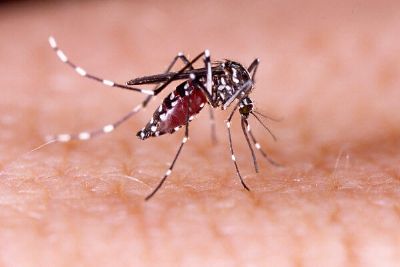 Especialista orienta como distinguir os sintomas de dengue e covid-19
