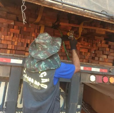 Mais de 300 caminhes com transporte ilegal de madeira so aprendidos em dois anos
