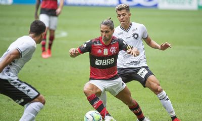 Pressionados, Botafogo e Flamengo fazem clssico no Brasileiro