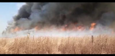 Incndio atinge cerca de 1 mil hectares de canavial em Sorriso