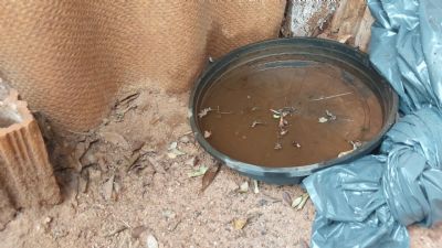 Mato Grosso monitora mais de mil casos de chikungunya nesta tera