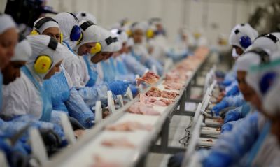 Preo sobe e carne de frango ganha competitividade em relao  suna, diz Cepea