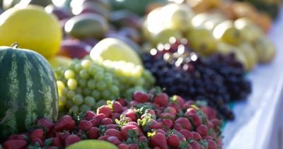 Produtores recebem oferta de 12 mil mudas de frutas no Norto
