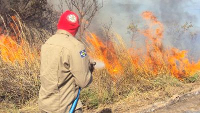 MT enfrenta a pior temporada de queimadas em 7 anos e sofre consequncias com o bloqueio do Fundo Amaznia