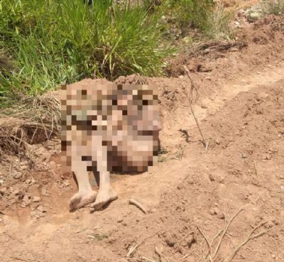 Corpo de homem nu  encontrado em terreno baldio em Cuiab