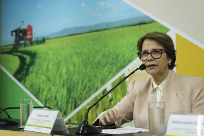 Ministra apresenta oportunidades de investimentos no Brasil para autoridades e empresrios em Dubai