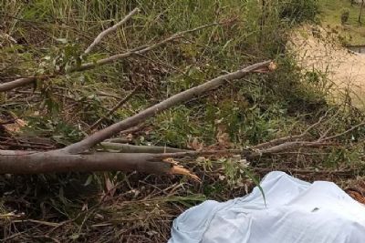 Jovem de 18 anos morre eletrocutado enquanto podava árvore