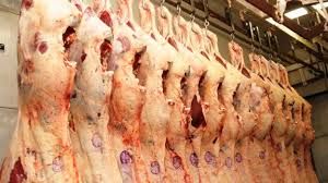 Exportao de carne bovina cresce 11% de janeiro a outubro, diz Abrafrigo