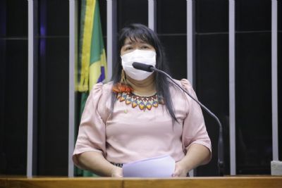 Cmara debate participao das mulheres indgenas na poltica