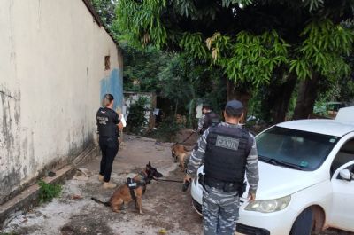 Polcia deflagra operao de combate ao trfico domstico em Vrzea Grande