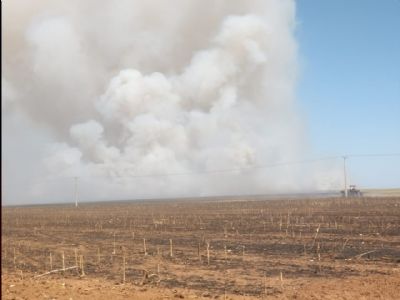 Incndio atinge trs fazendas em Sorriso