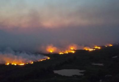Aps 13 dias de incndio, Bombeiros controlam fogo no Pantanal