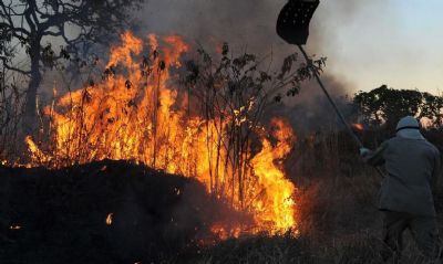 Incndio no Pantanal leva Defesa Civil a reconhecer situao de emergncia em MS