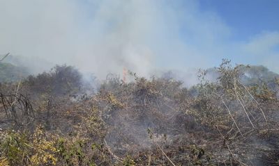 Incndios no Pantanal motivam estado de emergncia em 14 cidades no MS
