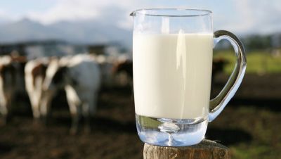 Aquisio de leite sobe 0,5% em 2018 ante 2017, diz IBGE
