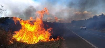 Norte, Centro-Oeste e Sudeste registram queimadas no fim de semana