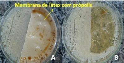 Mato Grosso investe em pesquisa sobre biomembrana para reparo de leses na pele