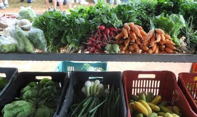 Mercados atacadistas apontam nova queda de preo das hortalias
