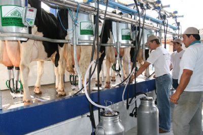 Produo de leite diminui em Mato Grosso, mas preo pago ao produtor melhora