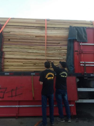 Indea apreende 39 caminhes de madeira irregular no ms de novembro