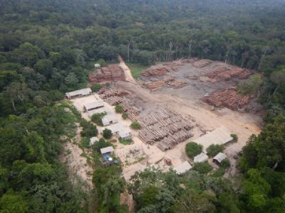 Justia Federal manda PF devolver madeira apreendida na fronteira do Amazonas com o Par