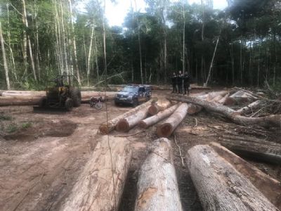 PM prende quatro por extrao ilegal de madeira em rea indgena e porte de arma