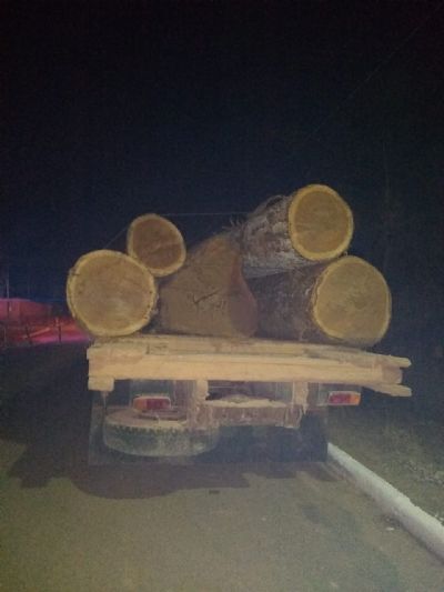 Homem  flagrado com caminho carregado de madeira ilegal