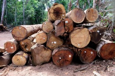 Sema-MT publica normativa que aprimora monitoramento da explorao florestal