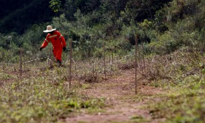 Mariana: estudos mostram caminhos para recuperar solo com rejeitos