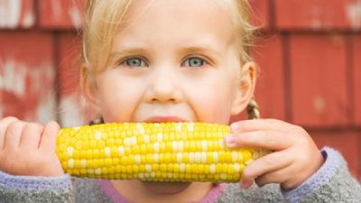 Dia do Milho: Confira os benefcios desse delicioso cereal