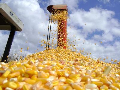 Mato Grosso tem venda de milho avanada em 2%