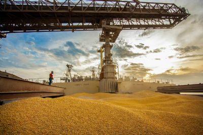 Puxadas pelo milho, exportaes do agro atingem US$ 8,4 bilhes em outubro