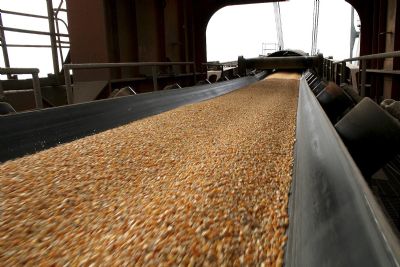 Anec: Brasil deve exportar em dezembro 2,9 milhes de toneladas de milho